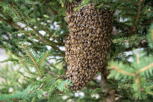 Události za měsíc srpen 2024